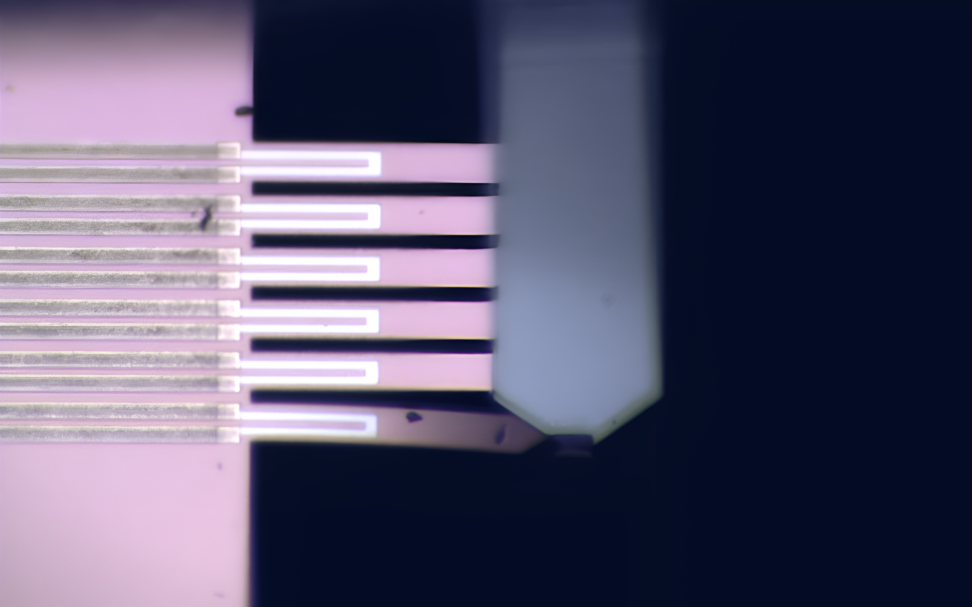 <p>MEMS 测试装置，用于测量微制造组件的刚度以计算产量。</p>